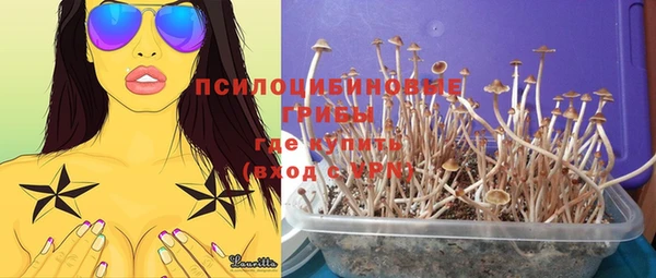 дурь Баксан
