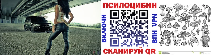 купить наркотик  Красный Сулин  OMG   Галлюциногенные грибы GOLDEN TEACHER 